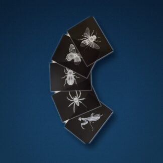 Negativer - insekter - A4 format