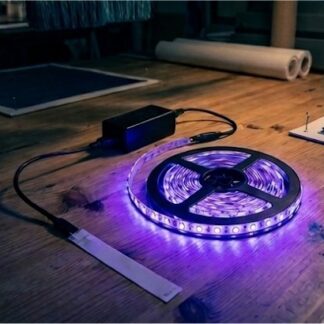 UV-lys